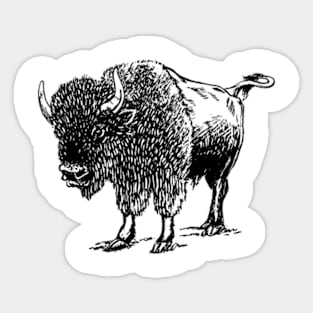 Cute bison gift ideas, bison tees bison hoodies Sticker